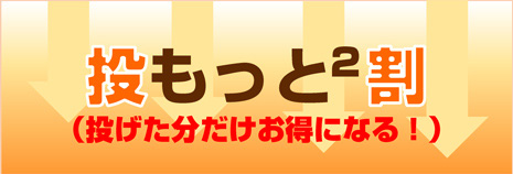 投げた分だけお得になる！投割